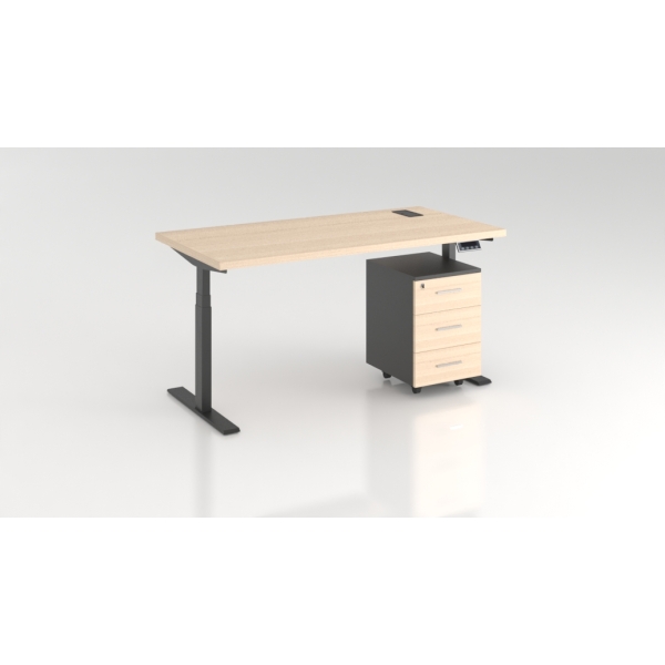 BLOOM Height Adjustable Desk